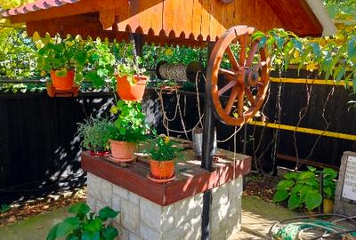 Casă individuală cu 5 camere cu Teren 3000 Mp în Central - 6