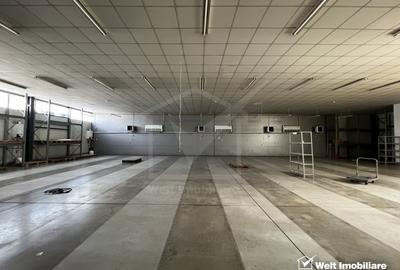Depozit 600mp 2 rampe + birouri 180mp, 14 parcari, Lidl - Baciu - 3