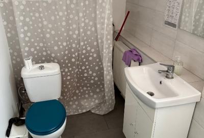Spatiu comercial ultracentral de inchiriat - 7