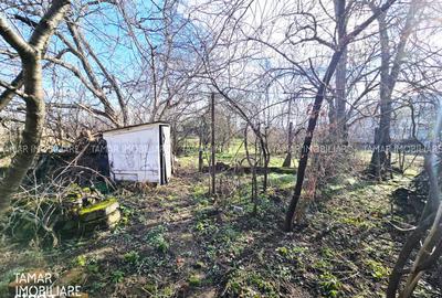 Casă cu 3 camere cu Teren 742 Mp în 6 Vânători - 3