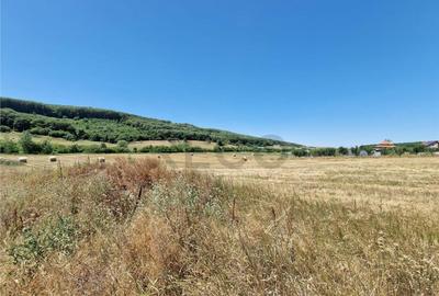 RECO parcele Betfia - 1