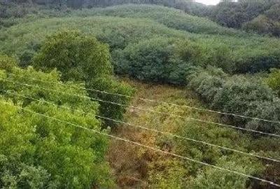 Teren Duta-Epureni, ID: R2757048 - 5