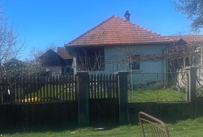 LICITATIE PUBLICA  IMOBIL CU POTENTIAL TURISTIC IN ZONA MONTANA NOVACI  TEREN - 3