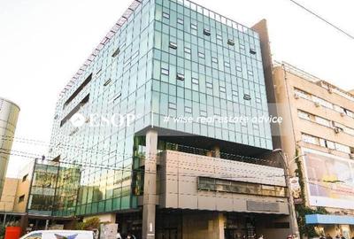 Spațiu comercial, de 258 mp, în Romană - 1