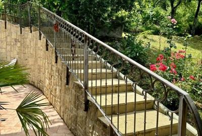 Casă individuală cu 5 camere cu Teren 10000 Mp în Ghioroc - 25