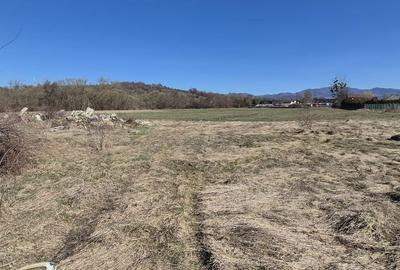 Teren de 2260 mp, în Dumbrăvița - 5