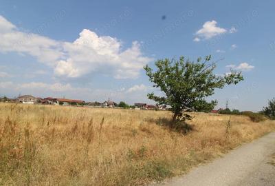 Teren extravilan 600 mp, Prelungirea Panduri - 2