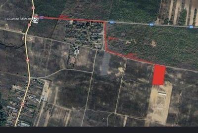 Teren de 8700 mp, în Ghindeni - 4