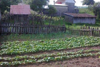 Casă cu 6 camere în Șopotu Nou - 4