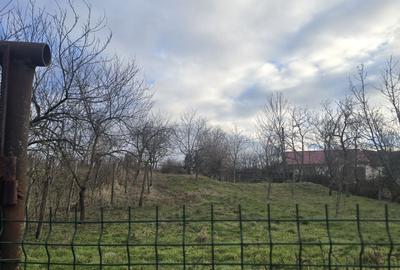 Casă cu 4 camere cu Teren 1000 Mp în Ciclova Română - 3