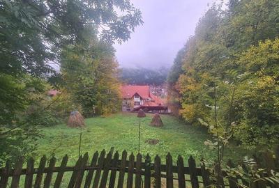 Teren intavilan de vanzare in Busteni, zona Zamora (oport... - 6