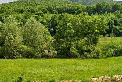 Teren Construcții intravilan de 965 mp, în Măieruș - 4