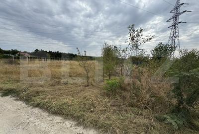 Teren Construcții intravilan de 2981 mp, în Bariera Vâlcii - 2