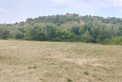 Teren extravilan de 1226 mp, în Periferie - 6