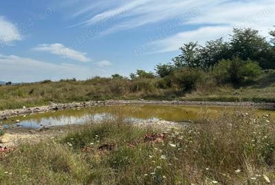 Teren de 7500 mp, în Băicoi - 6