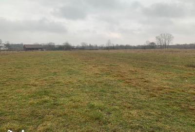 Teren de 2600 mp, în Marginea - 2