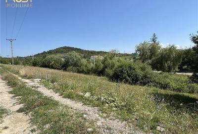 Teren intravilan Valea Castailor, zona Rombat - 10