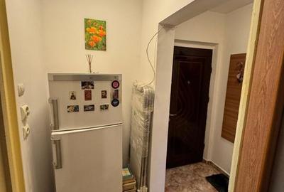 Garsoniera Parc Tineretului mobilata utilata libera - 8