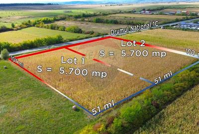 Un lot de teren sau parcela intreaga de Vanzare sau schimb cu AP - 2