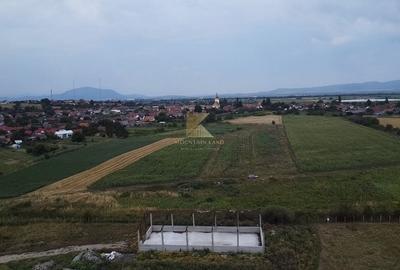 Posibilitate RATE | Teren Bod | curti constructii | utilitati | PUZ, - 6