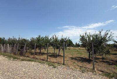 VALEA URSULUI, TEREN INTRAVILAN DE , LA MARGINE DE PADURE - 3