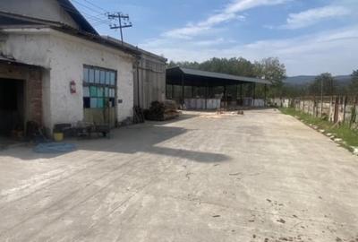 Fabrica de prelucrarea lemnului Valea Buzaului. - 3