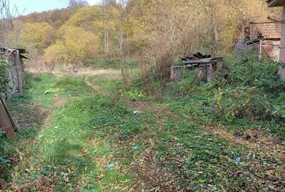 Casa in Dognecea - 5