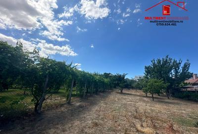 Singura casa de vanzare pe str.Mircea Voda cu 1500 mp ! - 26