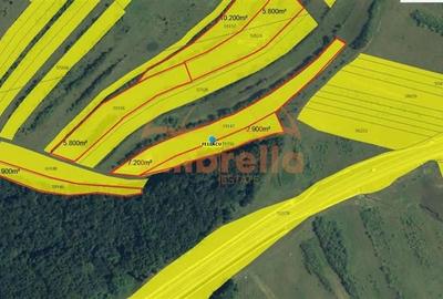 Teren de vanzare in  Zona Gheorgheni 5.800mp - 4