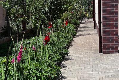 Cumpana-Central-Casa individuala-409000 euro! Cumpana-Central-Casa individuala-409000 euro! - 9