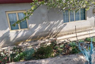 Casă cu 4 camere în Pietrele - 4