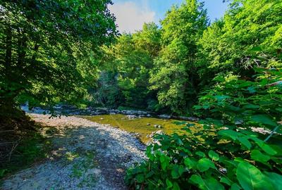 Casă cu 4 camere cu Teren 982 Mp în Coaș - 5