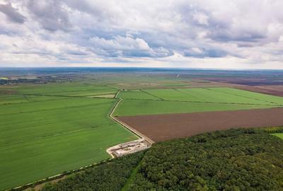 Teren arabil de 30 hectare in Constan?a - 2