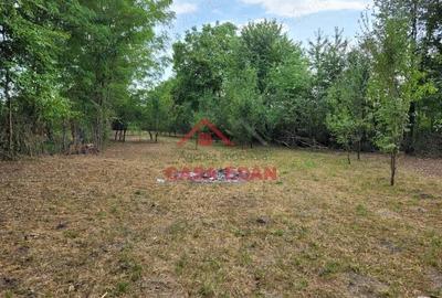 Teren intravilan in Banesti--2093mp--59.000e - 2