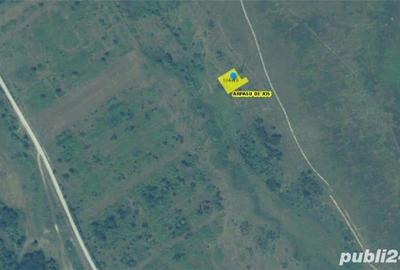 Teren de 18800 mp, în Arpașu de Sus - 2