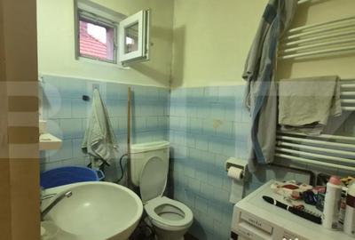 Casă cu 1 camere cu Teren 1306 Mp în Careiului - 4