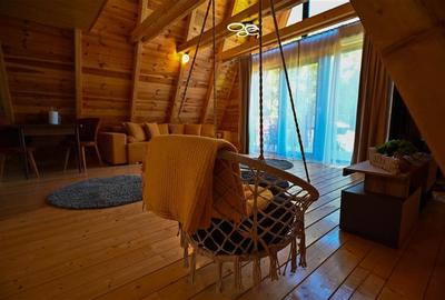 FILM! Ansamblu in circuit hotelier,5.700mp teren,Moieciu,constructie 2025 - 30