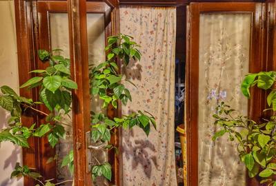 Casa cu tavan inalt - Piata Alba Iulia - Singur in curte - 5