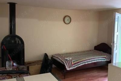 Vand casa cu teren de 18 arii in Sanpetru Almasului - 8