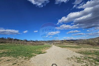 15 parcele de 1000 mp de vanzare in Breaza Prahova- toate... - 17