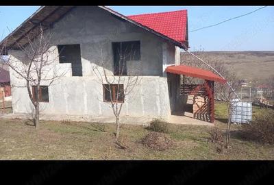 Casă cu Teren 1700 Mp în Erbiceni - 2