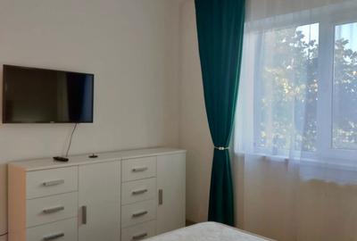 Apartament cu 2 camere decomandat în Vest - 4