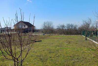 Spațiu comercial, în Steaua - 2