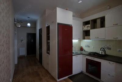 Garsonieră în Costin Georgian