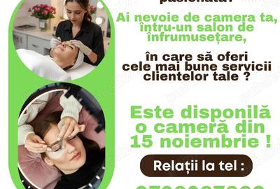 Inchiriez camera in salon de infrumuse?are - 3