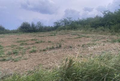 Spațiu comercial, în Central - 5