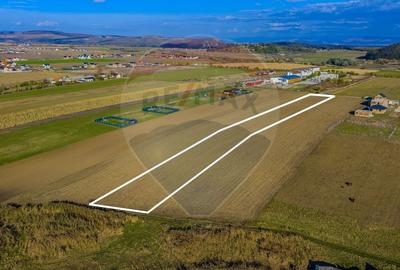 COMISION 0% Teren Sanpetru 8900 mp/ Intravilan/ 8 loturi COMISION 0% Teren Sanpetru 8900 mp/ Intravilan/ 8 loturi - 2