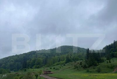 Teren intravilan 20.000 mp, zona Soarecului, Marginea - 1