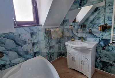 Aartament 5 camere de inchiriat in vila et 2, Parc Carol, Unirii-Tineretului - 8