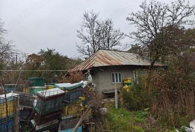 Casa batraneasca si teren Casa batraneasca si teren - 1